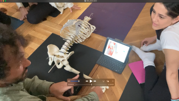 BIOMECÁNICA DEL YOGA PARA LA CADERA