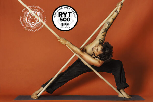 PROFESOR DE YOGA AYURVEDICO NIVEL II 500H RYT - PRESENCIAL