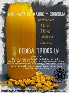 Horchata ayurveda de mango, zanahoria y cúrcuma