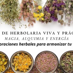 Herbolaria Viva y Práctica: Magia, alquimia y energía