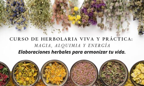 miniatura del curso
