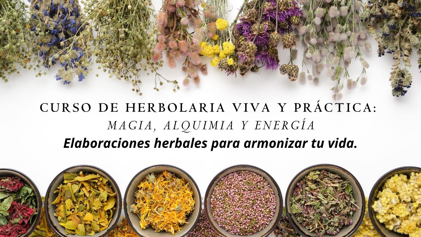 CURSO DE HERBOLARIA VIVA Y PRACTICA